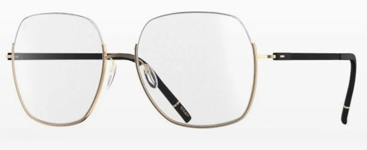 Silhouette Dynamic Dawn Nylor 4566 Eyeglasses - view 4